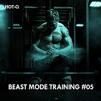 Thumbnail for the Hot-Q - Beast Mode Training, Vol. 05 link, provided by host site