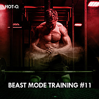 Thumbnail for the Hot-Q - Beast Mode Training, Vol. 11 link, provided by host site