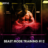 Thumbnail for the Hot-Q - Beast Mode Training, Vol. 12 link, provided by host site