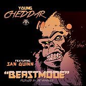 Thumbnail for the San Quinn - Beastmode link, provided by host site