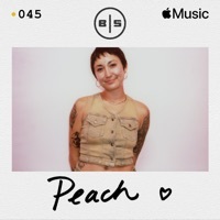 Thumbnail for the Peach - Beats In Space 045: Peach (DJ Mix) link, provided by host site