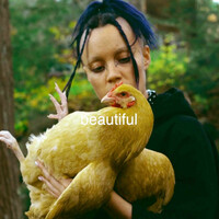 Thumbnail for the BigKlit - Beautiful link, provided by host site