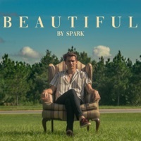 Thumbnail for the Spark - Beautiful link, provided by host site