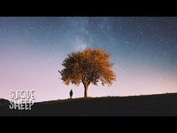 Thumbnail for the Illenium - Beautiful Creatures (Julien Marchal Rework) link, provided by host site