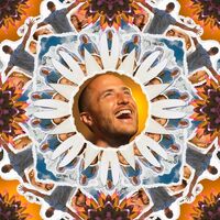 Thumbnail for the Mike Posner - Beautiful Day (Healing House Version) link, provided by host site