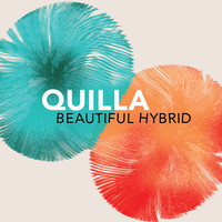Thumbnail for the Quilla - Beautiful Hybrid link, provided by host site