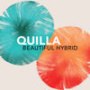 Thumbnail for the Quilla - Beautiful Hybrid link, provided by host site