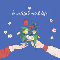 Thumbnail for the Stella Jang - Beautiful Mint Life link, provided by host site