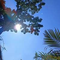 Thumbnail for the  CAFUNÉ - beautiful morning link, provided by host site