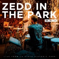 Thumbnail for the Zedd - Beautiful Now [Mixed] link, provided by host site