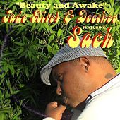 Thumbnail for the Jade River - Beauty and Awake link, provided by host site
