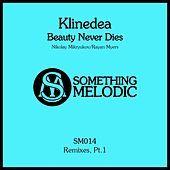 Thumbnail for the Klinedea - Beauty Never Dies: Remixes, Pt. 1 link, provided by host site