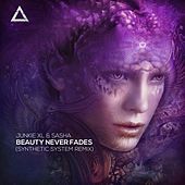 Thumbnail for the Junkie XL - Beauty Never Fades (Synthetic System Remix) link, provided by host site