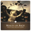 Thumbnail for the Dirk Freymuth - Beauty of Bach link, provided by host site