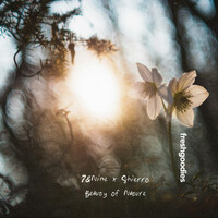 Thumbnail for the 7 - Beauty of Nature link, provided by host site