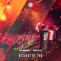Thumbnail for the Da Tweekaz - Because of You link, provided by host site