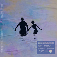 Image of VisionV linking to their artist page due to link from them being at the top of the main table on this page