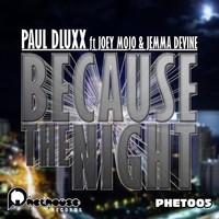 Thumbnail for the Paul Dluxx - Because the Night link, provided by host site