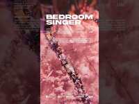 Thumbnail for the J.Fla - Bedroom Singer (Teaser Shorts 1st) link, provided by host site
