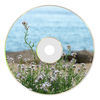 Thumbnail for the Florin H - Bedroomrecords09 Summer link, provided by host site