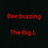 Thumbnail for the Big L - Bee Buzzing link, provided by host site