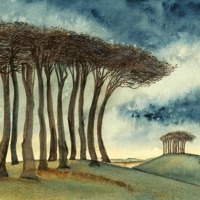 Thumbnail for the Cosmo Sheldrake - Beech link, provided by host site