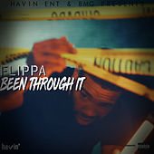 Thumbnail for the Flippa - Been Through It link, provided by host site