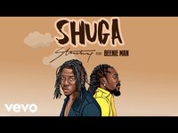 Thumbnail for the Stonebwoy - Shuga link, provided by host site