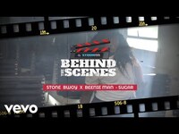 Thumbnail for the Stonebwoy - Shuga link, provided by host site