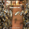 Thumbnail for the Project 99 - Bees link, provided by host site