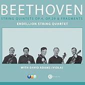 Thumbnail for the The Endellion String Quartet - Beethoven : Complete String Quintets link, provided by host site