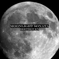 Thumbnail for the Ludwig van Beethoven - Beethoven: Moonlight Sonata, Pt. 1 link, provided by host site