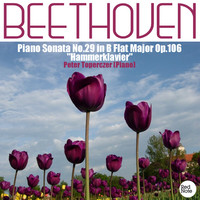 Thumbnail for the Peter Toperczer - Beethoven: Piano Sonata No.29 in B Flat Major Op.106 "Hammerklavier" link, provided by host site