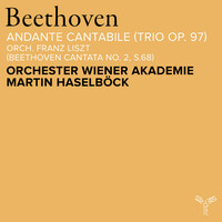 Thumbnail for the Ludwig van Beethoven - Beethoven: Piano Trio in B-Flat Major, Op. 97 "Archduke": III. Andante cantabile (Arr. for Orchestra by Franz Liszt) link, provided by host site