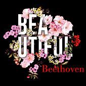 Thumbnail for the Yale String Quartet - Beethoven: String Quartet No. 16 in F Major, Op. 135 III. Lento assai e cantante tranquillo link, provided by host site