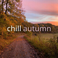 Thumbnail for the Mazzy Star - Before I Sleep link, provided by host site