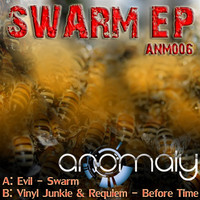 Thumbnail for the Vinyl Junkie - Before Time - Original Mix link, provided by host site