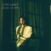 Thumbnail for the Day Wave - Before We Knew link, provided by host site