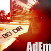 Image of Adem linking to their artist page due to link from them being at the top of the main table on this page