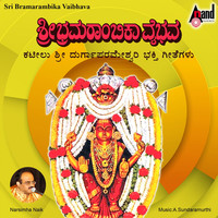 Thumbnail for the B.R.Chaya - Belagayithyellamma link, provided by host site