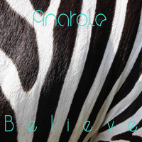 Thumbnail for the Anatole - Believe link, provided by host site