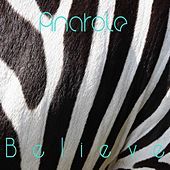 Thumbnail for the Anatole - Believe link, provided by host site
