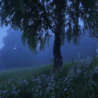 Thumbnail for the Mew - Beloved link, provided by host site