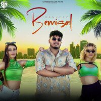 Thumbnail for the Sanjeev - Bemisal link, provided by host site