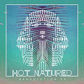Thumbnail for the Hot Natured - Benediction link, provided by host site