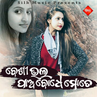 Thumbnail for the Kumar Bapi - Besi Bhalapaa Bodeh Mote link, provided by host site