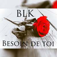 Thumbnail for the BLK - Besoin de toi link, provided by host site