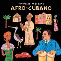 Thumbnail for the Manu Dibango - Bessoka (Version Courte) link, provided by host site