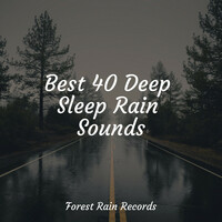Thumbnail for the Deep Sleep Relaxation - Best 40 Deep Sleep Rain Sounds link, provided by host site