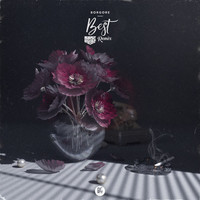 Thumbnail for the Borgore - Best (Bare Noize Remix) link, provided by host site